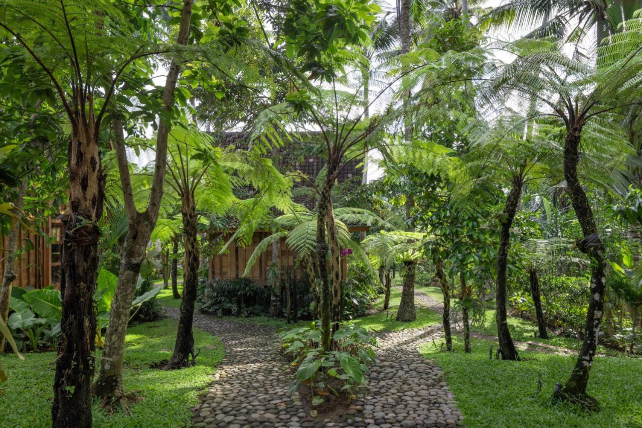 Rumah Kayu Resort Ubud Esterno foto